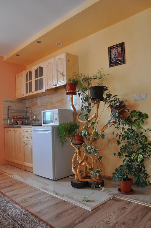 Guest House Eli Sapareva Banya Bilik gambar